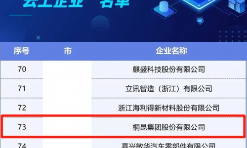 爱游戏全站app官方网站集团入选浙江省第二批制造业“云上企业”名单
