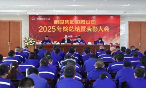 爱游戏全站app官方网站全面召开年终总结暨表彰大会