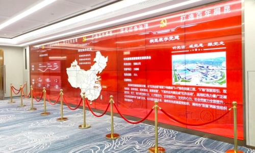 爱游戏全站app官方网站集团党委获评浙江省先进基层党组织